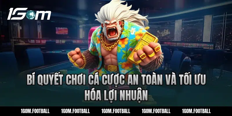Bí quyết chơi cá cược an toàn và tối ưu hóa lợi nhuận