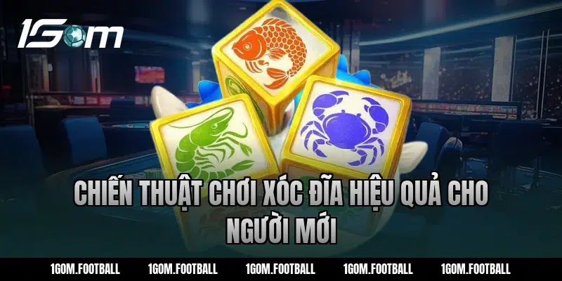 Chiến thuật chơi xóc đĩa hiệu quả cho người mới