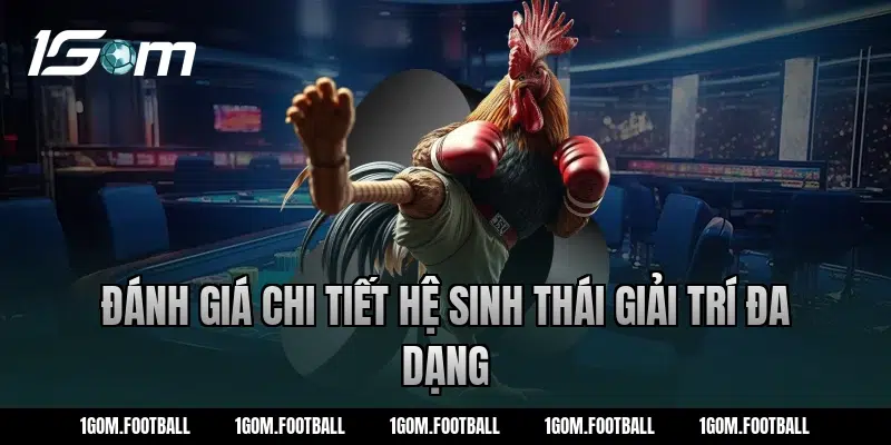 Đánh Giá Chi Tiết Hệ Sinh Thái Giải Trí Đa Dạng