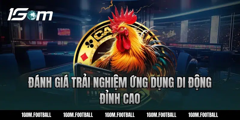 Đánh Giá Trải Nghiệm Ứng Dụng Di Động Đỉnh Cao