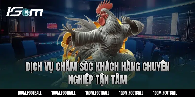 Dịch Vụ Chăm Sóc Khách Hàng Chuyên Nghiệp Tận Tâm