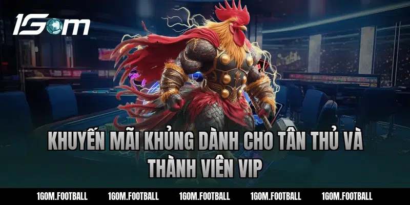 Khuyến Mãi Khủng Dành Cho Tân Thủ Và Thành Viên VIP