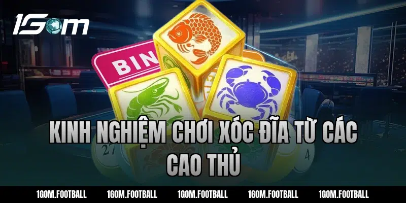 Kinh nghiệm chơi xóc đĩa từ các cao thủ