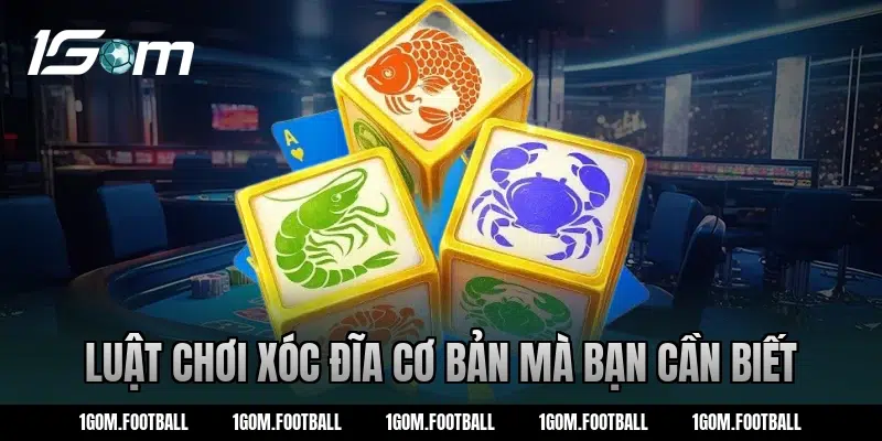 Luật chơi xóc đĩa cơ bản mà bạn cần biết