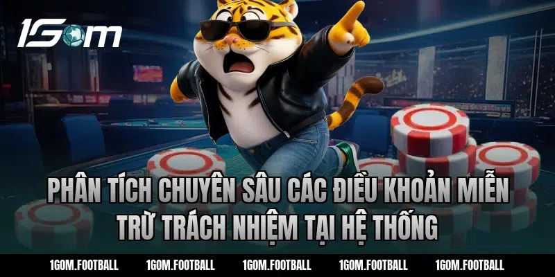 Phân tích chuyên sâu các điều khoản miễn trừ trách nhiệm tại hệ thống