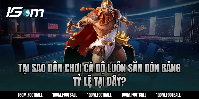 Tại sao dân chơi cá độ luôn săn đón bảng tỷ lệ tại đây?