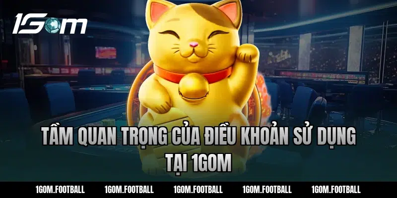 Tầm quan trọng của điều khoản sử dụng tại 1Gom